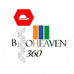 Bioheaven360 Logo